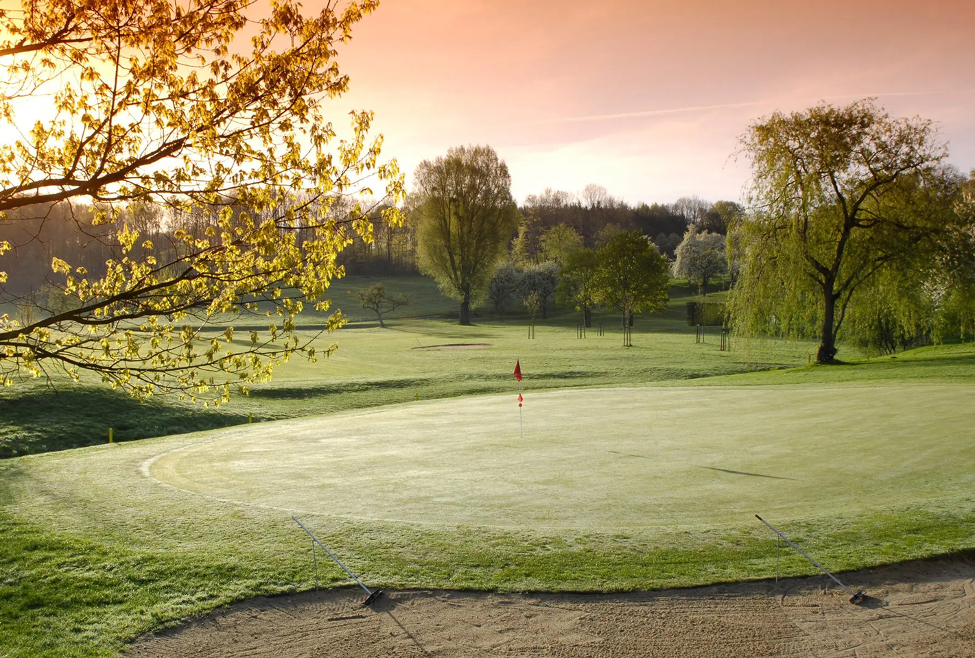 Golfplatz-green